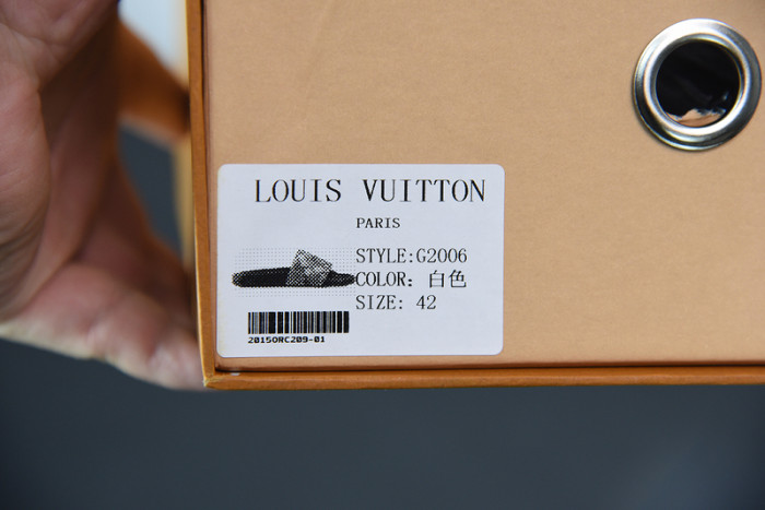 lv slide