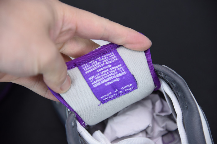 nike dunk sb low purple pigeon 304292-051