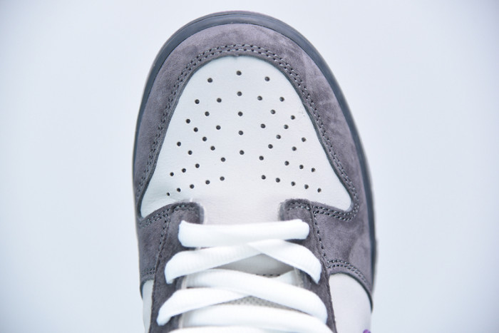 nike dunk sb low purple pigeon 304292-051