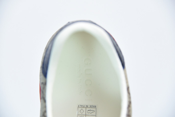 gci sneaker