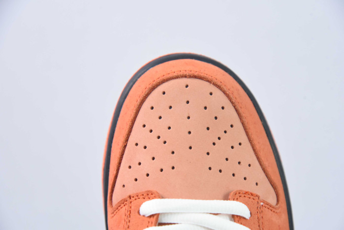 nike sb dunk low concepts orange lobster fd8776-800